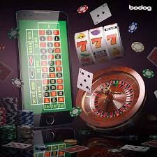 8day bet